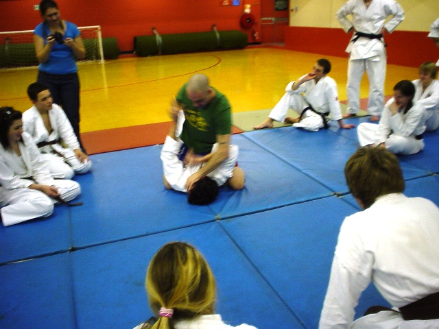 Karate Seminar